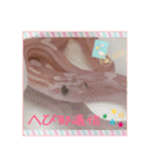 へび部通信（個別スタンプ：16）