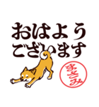 柴犬まさみ（デカ文字・敬語）（個別スタンプ：9）