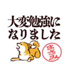 柴犬まさみ（デカ文字・敬語）（個別スタンプ：21）