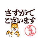 柴犬まさみ（デカ文字・敬語）（個別スタンプ：35）