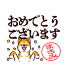 柴犬まさみ（デカ文字・敬語）（個別スタンプ：40）