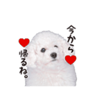 こぶた(キュート)（個別スタンプ：1）