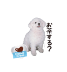 こぶた(キュート)（個別スタンプ：2）