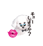 こぶた(キュート)（個別スタンプ：8）