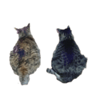 我が家の猫様①（個別スタンプ：20）
