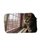 我が家の猫様①（個別スタンプ：24）