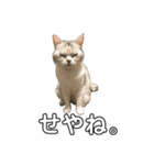 はなこさん。猫（個別スタンプ：4）