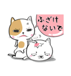 ネコチャンネル（個別スタンプ：11）