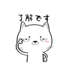 ネコチャンネル（個別スタンプ：13）