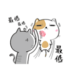 ネコチャンネル（個別スタンプ：38）