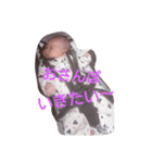 かわいい小春ちゃんスタンプ（個別スタンプ：16）