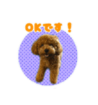 げんじろうスタンプ（個別スタンプ：4）