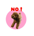 げんじろうスタンプ（個別スタンプ：5）