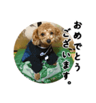 げんじろうスタンプ（個別スタンプ：14）