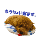 げんじろうスタンプ（個別スタンプ：24）