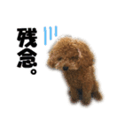 げんじろうスタンプ（個別スタンプ：25）