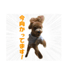 げんじろうスタンプ（個別スタンプ：26）