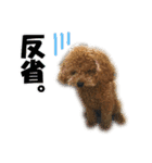げんじろうスタンプ（個別スタンプ：34）