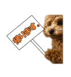 げんじろうスタンプ（個別スタンプ：37）