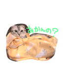 でいごと申します。（個別スタンプ：2）