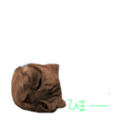 でいごと申します。（個別スタンプ：7）