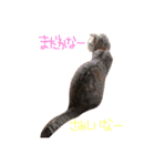 でいごと申します。（個別スタンプ：8）