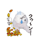 こぶた(パート1)（個別スタンプ：8）