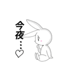 コンヤちゃん（個別スタンプ：1）