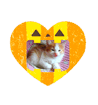 なおけのねこども（個別スタンプ：24）
