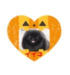 ペキニーズ☆ハロウィン（個別スタンプ：2）