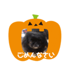 ペキニーズ☆ハロウィン（個別スタンプ：8）