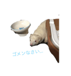 猫＆フェレット Part3（個別スタンプ：7）