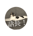 猫＆フェレット Part3（個別スタンプ：16）