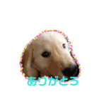 ぐりメルラブ（個別スタンプ：4）