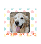 ぐりメルラブ（個別スタンプ：9）