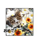 なめ子（個別スタンプ：18）