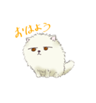 ポメ谷アン（個別スタンプ：1）