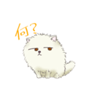 ポメ谷アン（個別スタンプ：3）