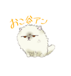 ポメ谷アン（個別スタンプ：5）