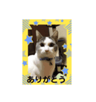 ゆっくりね！（個別スタンプ：1）