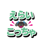 関西弁 [トイプードル/ブラック]でか文字（個別スタンプ：31）