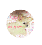 うちのらぶ❤︎2（個別スタンプ：6）