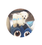 うちのらぶ❤︎2（個別スタンプ：8）