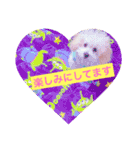 うちのらぶ❤︎2（個別スタンプ：11）