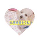 うちのらぶ❤︎2（個別スタンプ：12）
