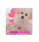 うちのらぶ❤︎2（個別スタンプ：13）