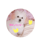 うちのらぶ❤︎2（個別スタンプ：14）