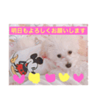 うちのらぶ❤︎2（個別スタンプ：19）