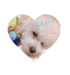 うちのらぶ❤︎2（個別スタンプ：21）