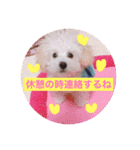 うちのらぶ❤︎2（個別スタンプ：22）